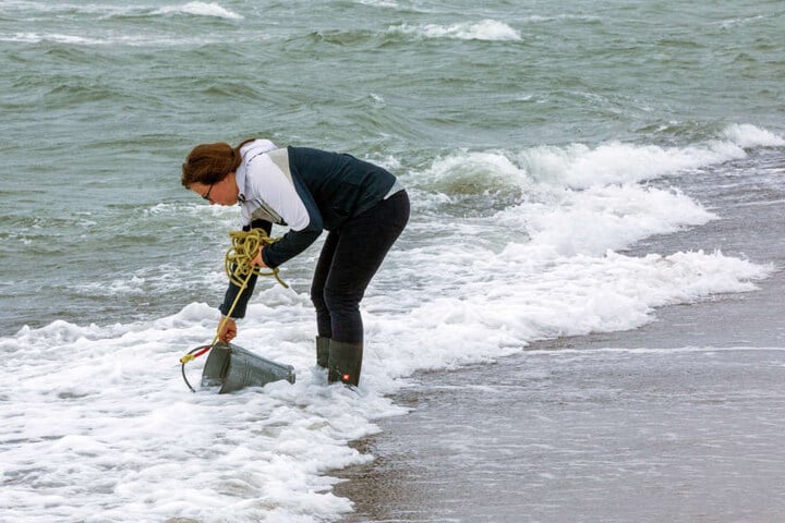 Am Strand von Warnemünde nimmt eine Mitarbeiterin des Leibnitz-Instituts eine Wasserprobe.