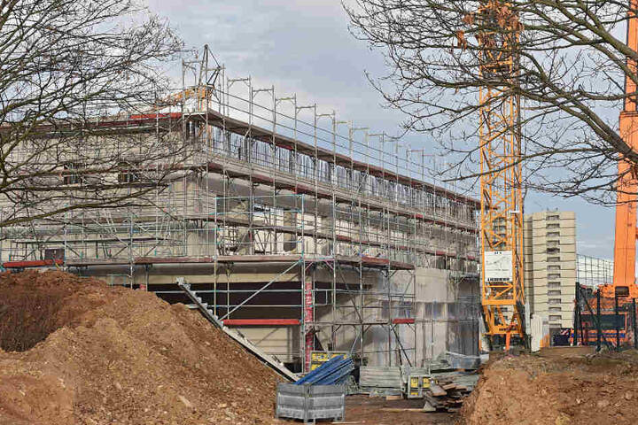 Mit Beginn des neuen Schuljahres muss die Halle fertig sein. Wegen extrem vieler Schüler wird die alte Sporthalle als Zusatz-Schule und Mensa gebraucht.