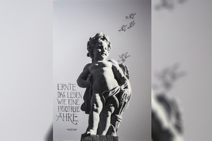 Axel Mayer fotografierte diesen Putto, Leo fügte Spruch und Vögel hinzu.