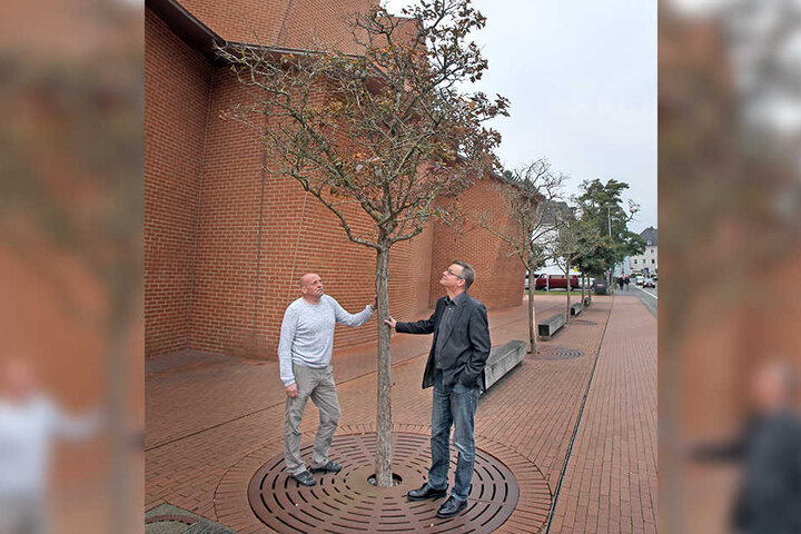Techniker Friedrich (li.) und Direktor Nachtigäller (re.) wollen die toten Bäume ersetzen. Allerdings: Welcher Baum wächst gern mit so viel Steinboden herum?