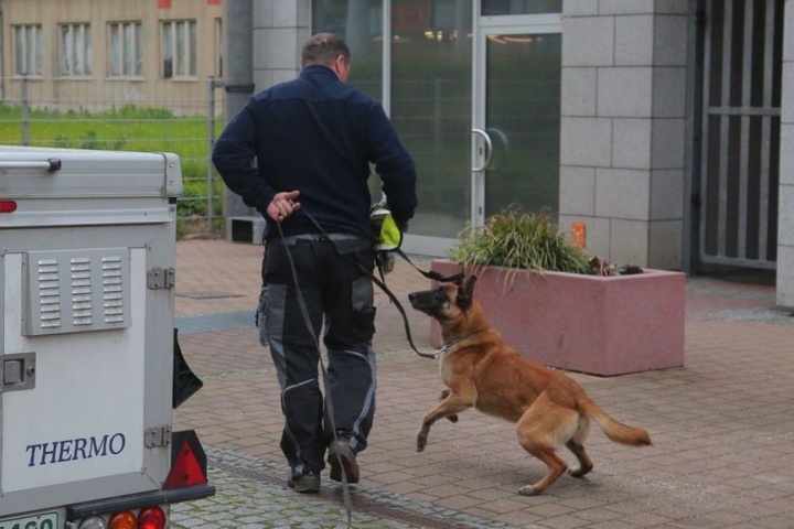 Auch Leichen- und Blutspürhund Cherry ist am Tatort eingetroffen.