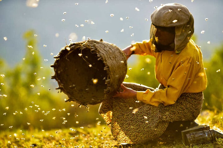 Hatidze und die Bienen: eine grandiose Geschichte über das friedliche Zusammenleben von Mensch und Tier.