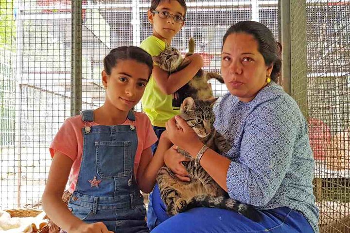 Die Flüchtlingsfamilie Alogaili muss ins Tierheim gehen, um ihre Lieblinge zu besuchen. Bürokratische Dickschädel haben ihren Willen durchgesetzt.