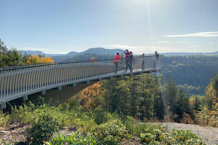 Der "Skywalk" von Bad Schandau ist ein Kandidat für den "Schleudersachsen 2019".
