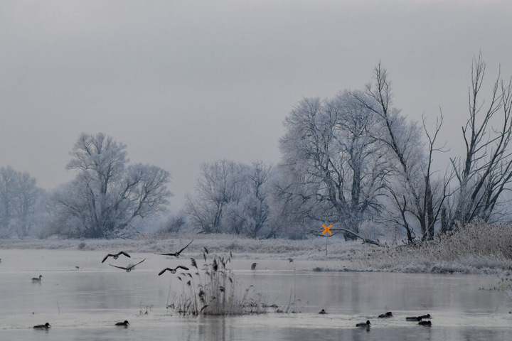 Sie sollen eine 33-Jährige im Januar in die eiskalte Oder gestoßen haben (Symbolbild).