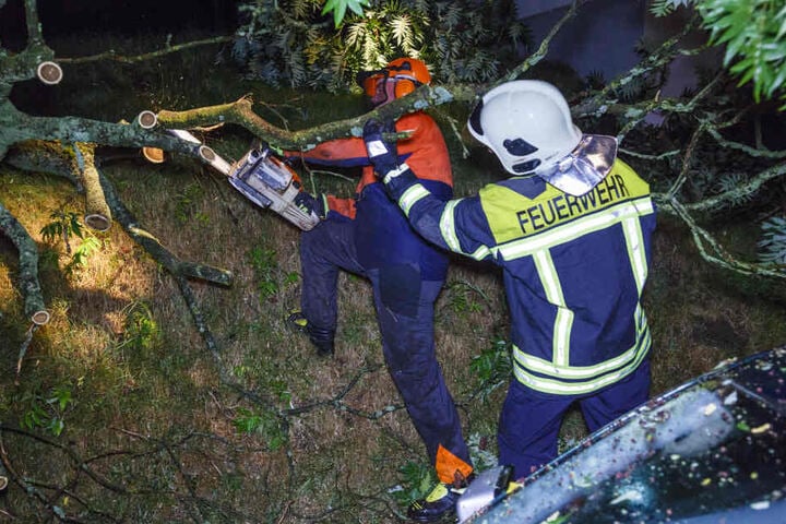 Feuerwehrmänner zersägen den auf das Auto gefallenen Baum.
