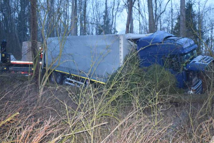 Im Unterholz kam der Lastwagen zum Stehen.