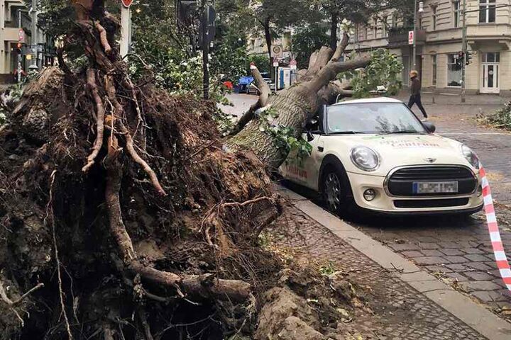 An diesem Auto werden wohl auch Werkstätten nichts mehr verdienen.