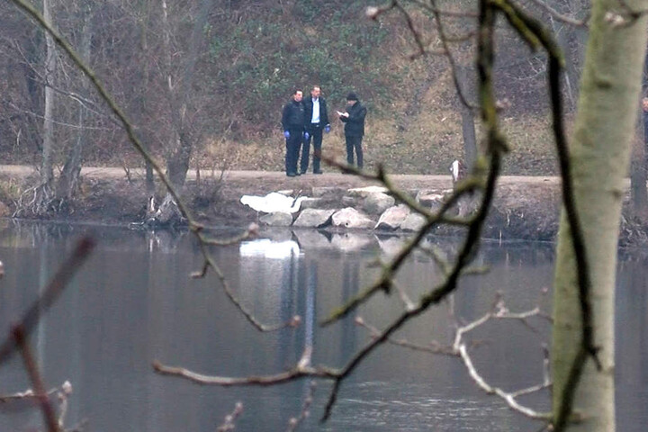 12. Januar: Polizisten am Pfingstbergweiher. Dort wurde das tote Kind entdeckt.