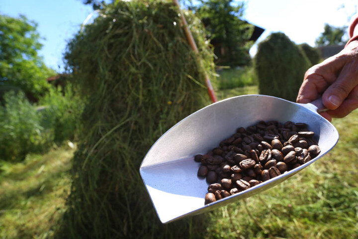 Neben den Gerüchen von Wald, Wiese und Heu können Touristen es etwa auch Kaffee-Aroma erleben.