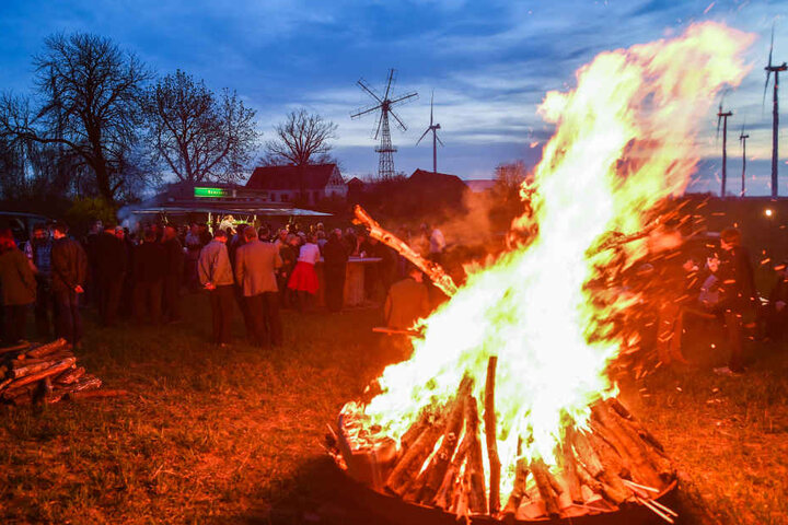 Das Knut-Fest ist eine Tradition.