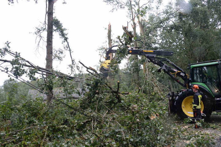 In Gütersloh mussten mehrere Bäume nach dem Sturm gefällt werden.
