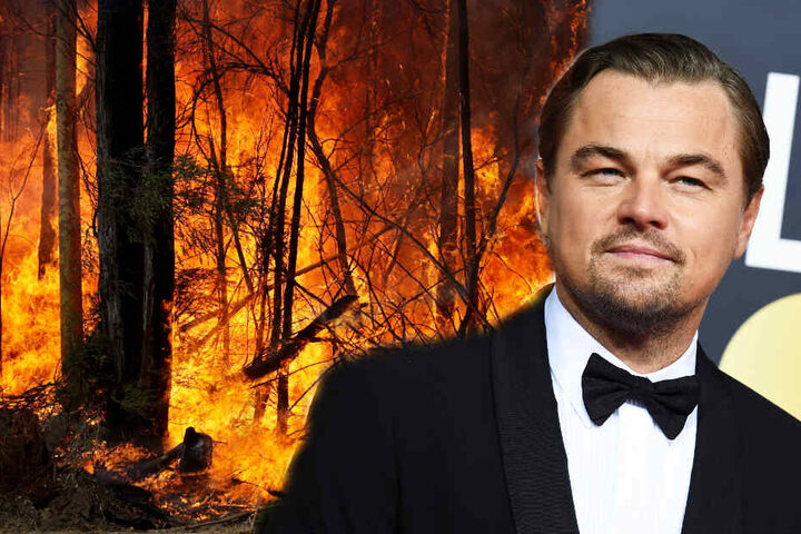 Leonardo DiCaprio hat mit seiner "Earth Alliance"-Stiftung drei Millionen Dollar für Australiens Kampf gegen die Buschfeuer gespendet.