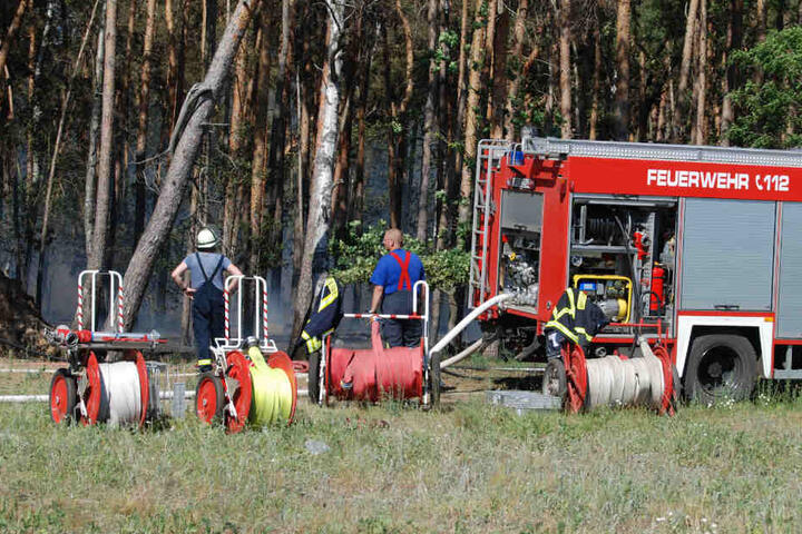 Etwa 2000 Quadratmeter des Waldes standen in Flammen, die Feuerwehr konnte das Feuer zügig löschen.
