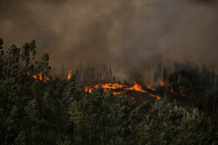 Wegen des extrem heißen Wetters mit Temperaturen von bis zu 45 Grad sind in Portugal zahlreiche Waldbrände ausgebrochen.