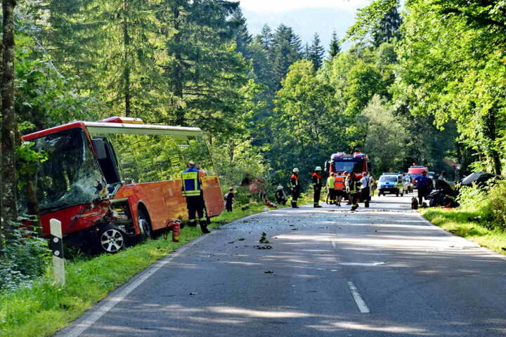 Der Busfahrer krachte gegen einen Baum.