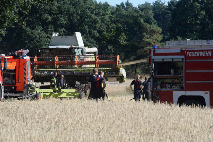 90 Minuten waren die Einsatzkräfte beschäftigt.