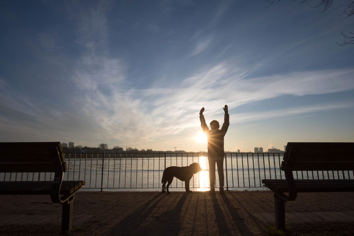 Rund 80.000 Hunde leben derzeit in Hamburg.