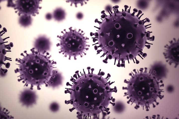 Der Verstorbene aus dem Kreis Zwickau war an der Influenza Typ A erkrankt. (Symbolbild)