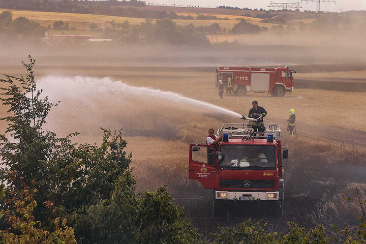 Stundenlang kämpfte die Feuerwehr gegen den Feldbrand.