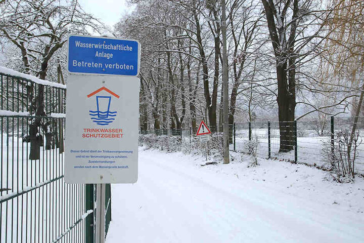 Die Stadt will ein striktes Pferdeverbot im Wasserschutzgebiet der Zonen 1 und 2 durchsetzen.