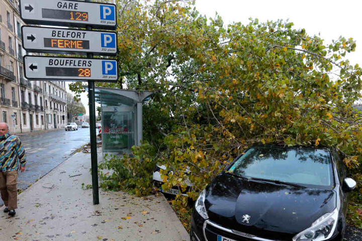 Ein Mann geht an einem umgestürzten Baum vorbei. Wegen eines Sturmtiefs ist in rund 140 000 Haushalten im Südwesten Frankreichs der Strom ausgefallen.