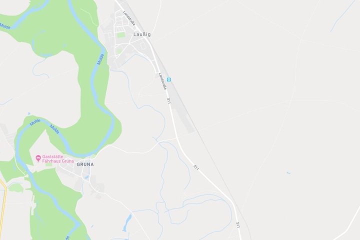 Der Vorfall soll sich auf der S11 bei Laußig, in Höhe der Abzweigung nach Gruna, ereignet haben.