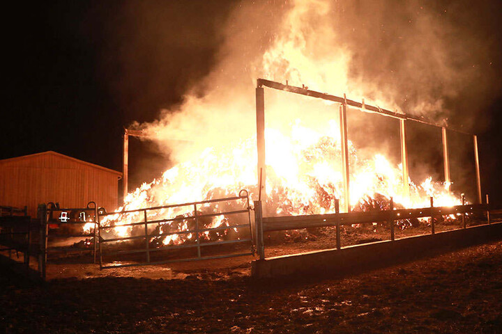 Die Lagerhalle brannte komplett aus.