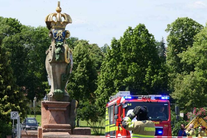 Die Feuerwehr unterstützt aktuell einen Imker dabei, die Tiere umzusiedeln.