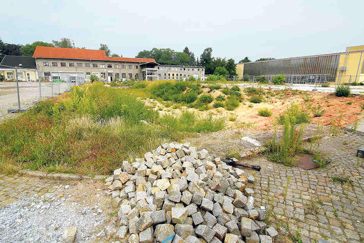 Auf diesem Areal an der Lößnitzstraße soll die 148. Grundschule gebaut werden.