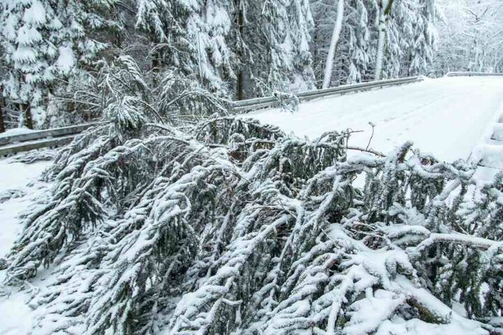 Schneebruch auf der B180 zwischen Thalheim udn Hoheneck.