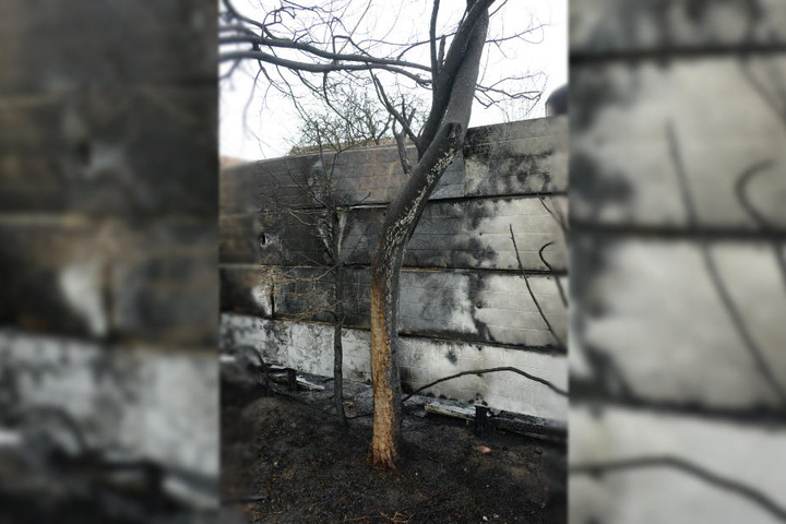 In Brand gesetzter Abfall hatte das Feuer ausgelöst.