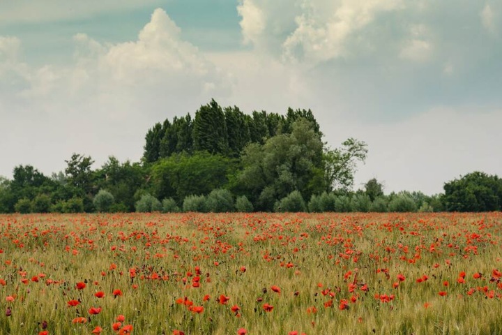 Die Sicht eines Menschens: rote, blaue und grüne Farbtöne werden wahrgenommen.