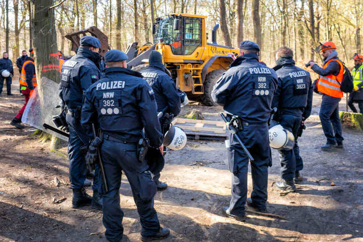 Die Polizei muss regelmäßig im Hambacher Forst RWE-Mitarbeiter schützen.