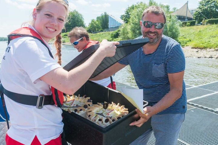 Zu gewinnen gab es Eistorten.