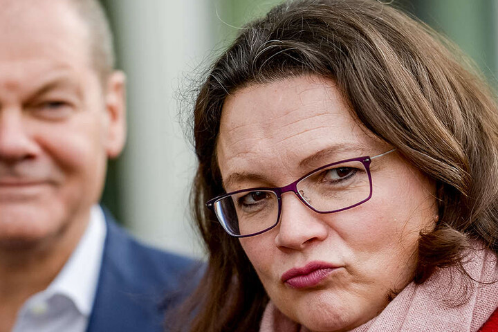 Andrea Nahles versichert, dass bei dem SPD-Mitgliedervotum kein Hund abstimmen wird.