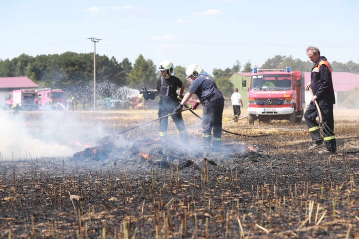 Feuerwehrleute beackern ein Feld in Langenhennersdorf. Knapp drei Hektar Getreide standen hier am Dienstagnachmittag in Flammen.