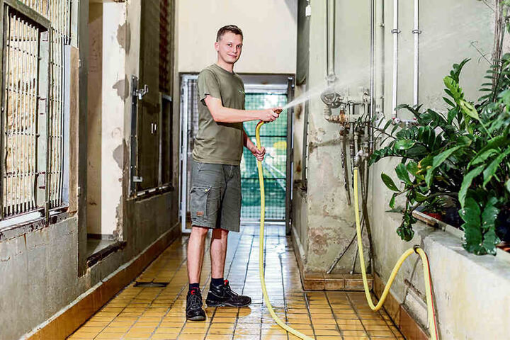 Tierpfleger Roman Richter (28) darf kurze Hosen im Job tragen. Feste Schuhe hingegen sind immer Pflicht.