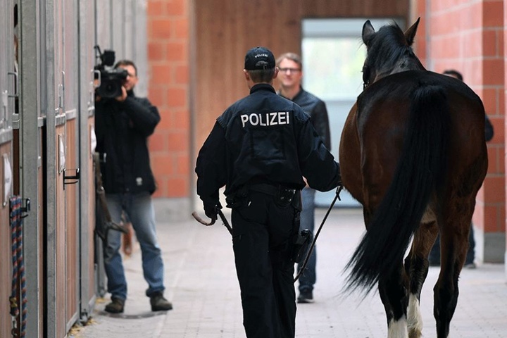 Eigentlich sollte der Umzug schon vor einem halben Jahr stattfinden, musste aber verschoben werden.