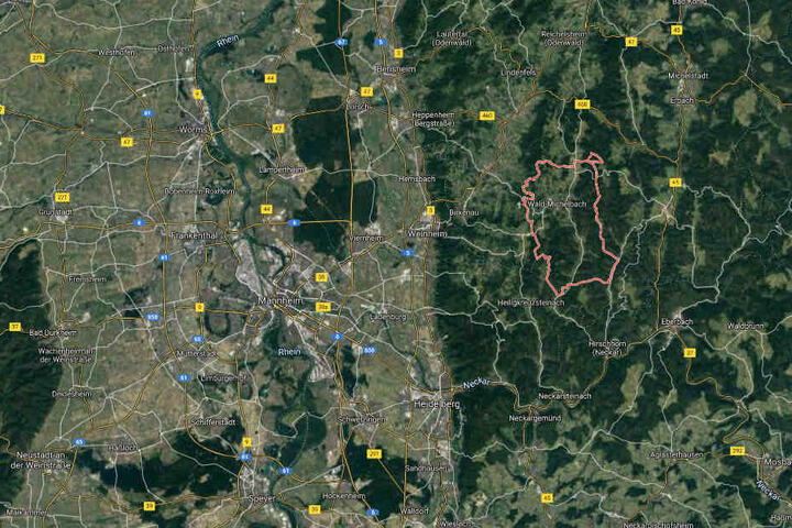 Noch ist unklar, was zu dem Brand im südhessischen Wald-Michelbach geführt hat.