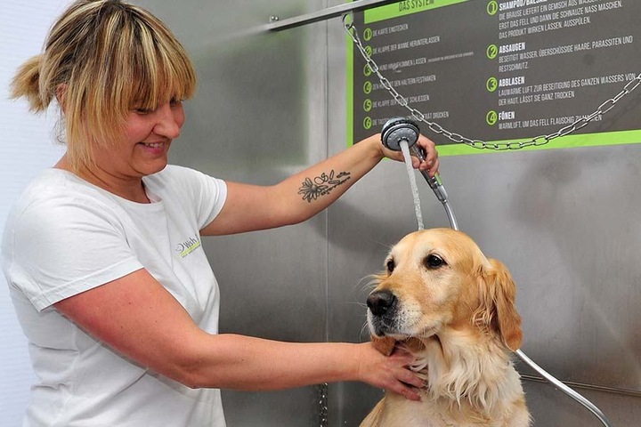 Für Golden-Retriever-Hündin Suri geht’s aus dem Wald direkt in die Traufe: In der Automaten-Dusche wird sie frisch geduscht.
