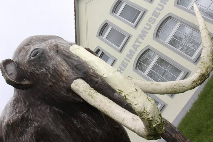Vor dem Heimatmuseum in Gohfeld steht ein Mammut.