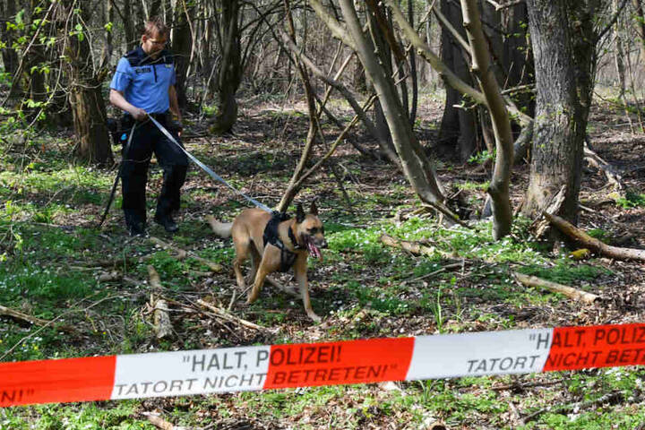 Mit einem Leichenspürhund sucht ein Polizist in einem Waldgebiet bei Brieselang nach der vermissten Georgine Krüger.