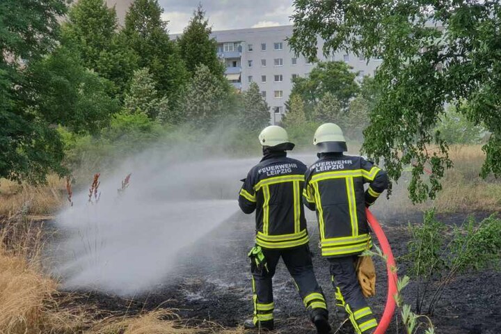 In Grüne stand eine Grünfläche in der Nähe des Kulkwitzer Sees in Flammen.