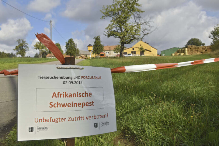 In Dresden erprobten Feuerwehr, Veterinäramt und Rathaus bereits 2015 das richtige Verhalten bei Ausbruch der Seuche.