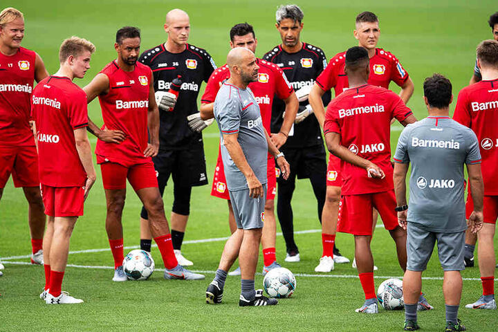 Mit seinen klugen Verstärkungen wird Bayer Leverkusen vermutlich erneut um die Königsklasse mitspielen.
