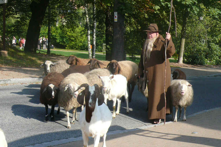 Als "Schäfer Jonas" ist Linke als Botschafter der Oberlausitz unterwegs.