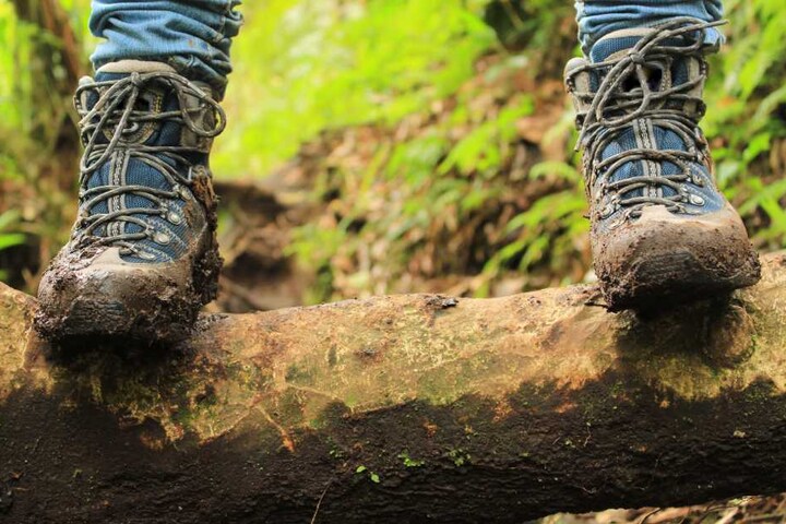 Mit Wanderschuhen und -rucksack ging der Mann in den Wald spazieren. (Symbolbild)