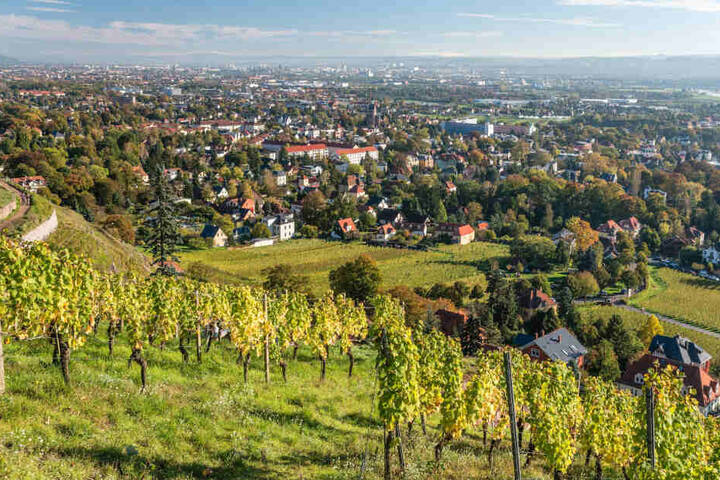 Nicht nur Radebeuls Weinberge ziehen viele Touristen an, auch Altkötzschenbroda ist sehr beliebt.