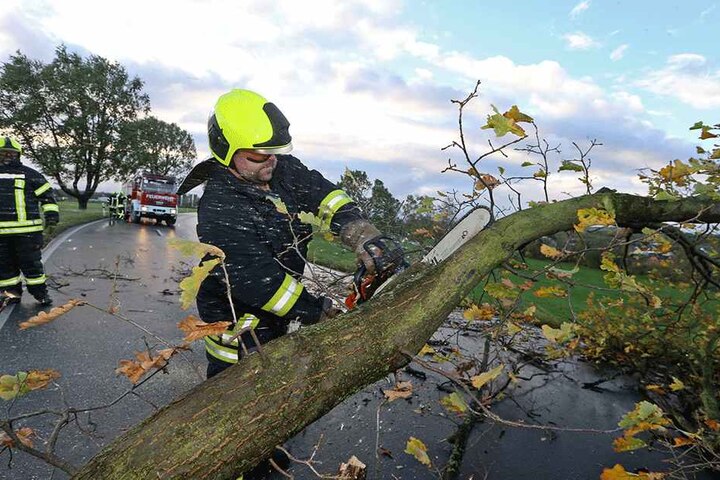 Entwurzelte Bäume, abgeknickte Äste: Die Feuerwehren waren bei den letzten
heftigen Stürmen im Dauereinsatz.
